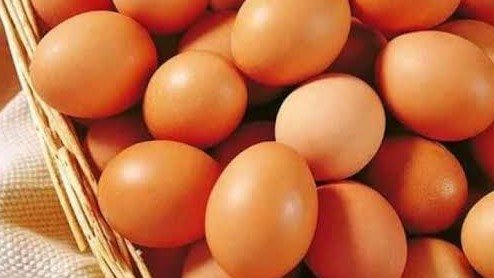 telur